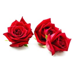 Rose petals -Skincare Herbal